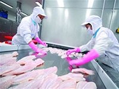 Xuất khẩu hàng sang Nhật: Tăng lượng, nâng chất