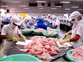Cơ hội xuất khẩu tôm và cá da trơn