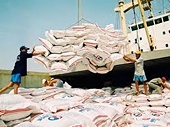 Xuất khẩu gạo: Nhiều doanh nghiệp có thể bị loại 