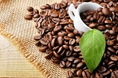 Xuất khẩu cà phê tăng 103% trong nửa đầu năm