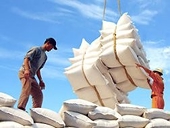 Giá gạo xuất khẩu tăng mạnh nhất trong 3 tháng
