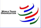 Việt Nam có thể tiếp tục kiện Mỹ lên WTO