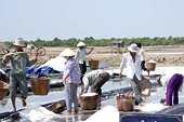 Sản xuất và nhập khẩu muối chất lượng cao: Mắc từ điều hành