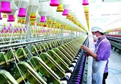 Cấm xuất hàng sang Mỹ nếu vi phạm bản quyền