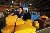 Kiến nghị chưa áp thuế đối với cao su xuất khẩu 
