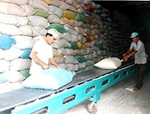 Đã có 40 doanh nghiệp đủ điều kiện xuất khẩu gạo