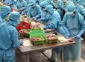 Yêu cầu mới khi xuất khẩu thủy sản vào Chilê