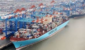 Vì sao hàng Việt Nam bị thu hồi tại Mỹ tăng? 