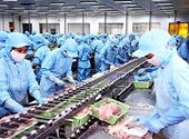 Xuất khẩu thủy sản sang Nhật - cần chú ý đảm bảo chất lượng, VSATTP