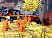 Lợi thế tĩnh sẽ... cạn