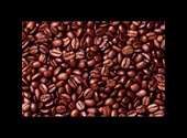 Giá nhiều mặt hàng xuất khẩu tăng trên 50%