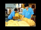 Trung Quốc lại sử dụng biện pháp hành chính với cao su XK Việt Nam