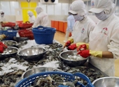 Kiện Mỹ ra WTO: Thông điệp của Việt Nam