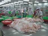 Kim ngạch xuất khẩu 9 tháng đạt trên 70 tỷ USD
