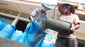 Xuất khẩu đạt kỷ lục