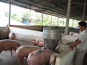 Nhiều nông sản nhập từ ASEAN sẽ giảm thuế mạnh