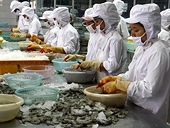 Trung Quốc kiện Mỹ áp thuế chống phá giá tôm 