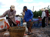 Kiện chống trợ cấp tôm: “Đòn hiểm” của COGSI