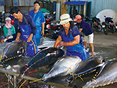 EC miễn thuế nhập khẩu 22.000 tấn thăn cá ngừ 
