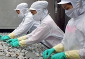 Vụ kiện tôm Việt Nam: Cạnh tranh không lành mạnh
