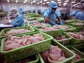 Xuất khẩu cá tra tăng 29% so với cùng kỳ năm ngoái