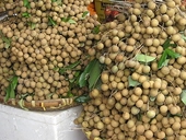 Cơ hội để quả vải, nhãn Việt Nam vào thị trường Mỹ