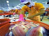 Xuất khẩu cá tra Việt Nam tăng trưởng 2 con số