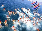 Ngoại thương Việt Nam 5 năm gia nhập WTO: Hướng tới tương lai
