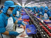 Thắt chặt kiểm tra chất lượng thủy sản xuất khẩu
