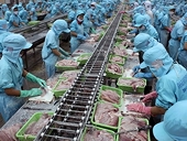 Hiệp hội Thủy sản Quốc gia Mỹ kêu gọi công bằng với cá tra Việt