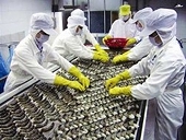 Nhật là thị trường xuất khẩu tôm lớn nhất của Việt Nam