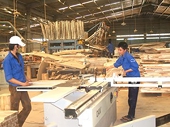 Việt Nam, EU đàm phán xuất khẩu gỗ sang Châu Âu