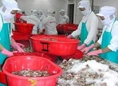 Cần chiến lược tiếp cận dài hạn với thị trường Nhật