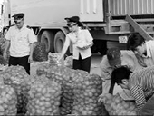Kiểm tra ráo riết nông sản nhập khẩu