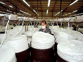 Dệt may xuất siêu 6,5 tỉ USD