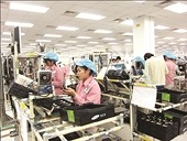 Ấn Độ: Cánh cửa để hàng Việt Nam vươn ra Nam Á 
