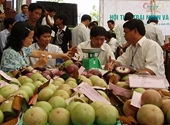 Năm 2012: Nhiều thuận lợi cho xuất khẩu rau quả