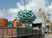 Xuất khẩu năm 2011: Hửng sáng từ hai trụ cột