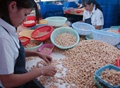 2011–2020: Xuất khẩu nông lâm thủy sản đạt 40 tỷ USD
