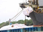 Năm 2012: Làm gì để xuất khẩu gạo Việt Nam vươn tới vị trí số 1 thế giới!