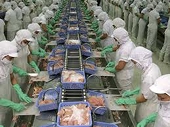 Lùi thời hạn đánh thuế chống bán phá giá cá tra