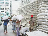 Xuất khẩu gạo của Thái Lan có thể giảm 1/3