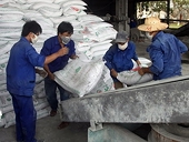 Vẫn phải nhập 2,34 triệu tấn phân bón các loại