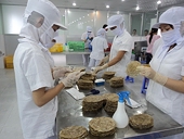 Hàn Quốc thanh tra các cơ sở sản xuất cá bò khô tẩm gia vị của Việt Nam 