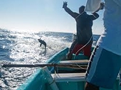 Bế tắc trong Thỏa thuận khai thác cá ngừ 