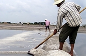 Hạn ngạch nhập khẩu muối có thể là 102.000 tấn 