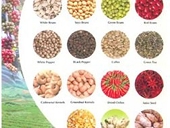 Xuất khẩu nông sản gặp khó