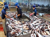 Xuất khẩu cá tra 2012: Cơ hội trong thách thức!