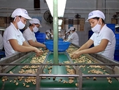 Xuất khẩu nông, lâm, thủy sản ước đạt 3,6 tỷ USD