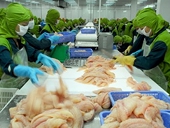 Hiệp hội VASEP vui mừng về thuế cá tra 